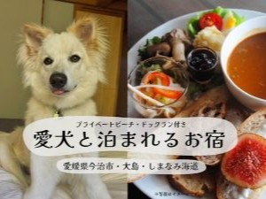 �����R�Ɣ��܂�邨�h